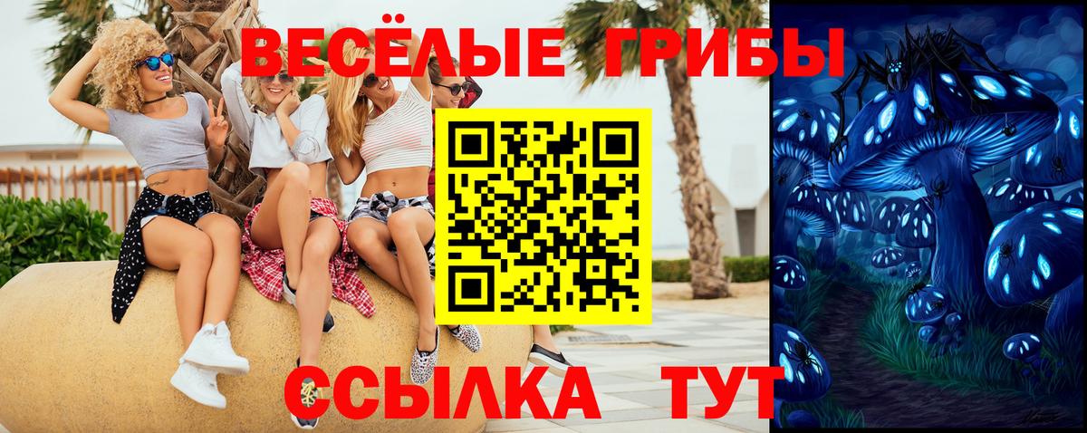 Галлюциногенные грибы Psilocybe Курганинск