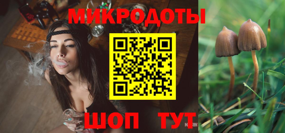 Курганинск  Галлюциногенные грибы Psilocybine cubensis  Вход с VPN 